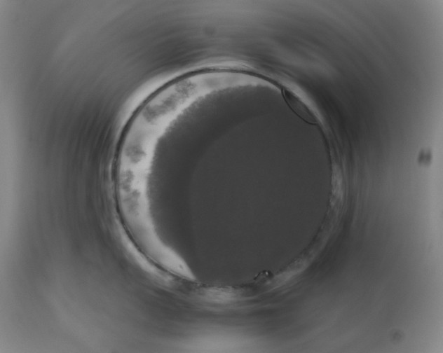 X0000112530959200909141244