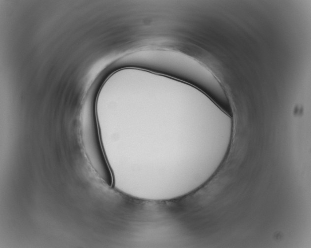 X0000112530960200909141244