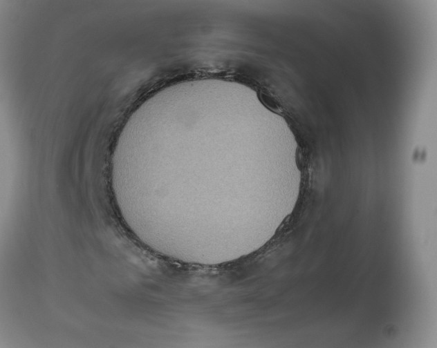 X0000112530961200909141243