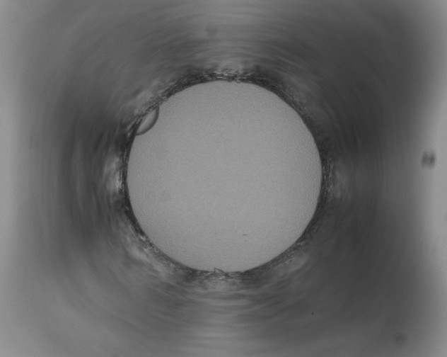 X0000112530962200909141243