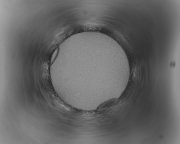 X0000112530964200909141243