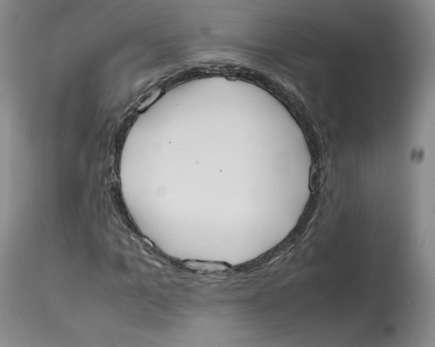 X0000112530965200909141243