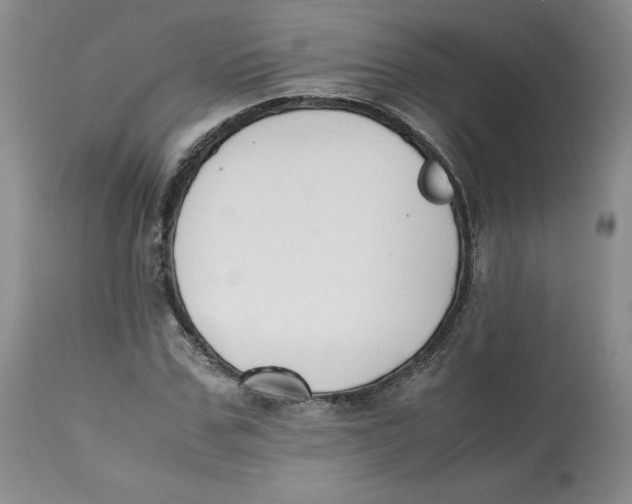 X0000112530971200909141243