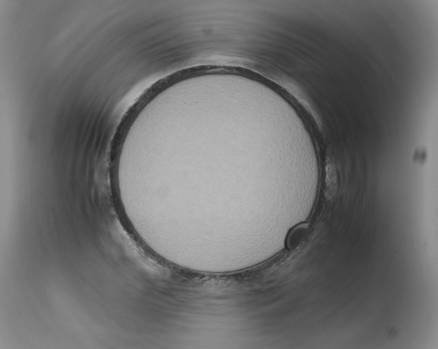 X0000112530972200909141243