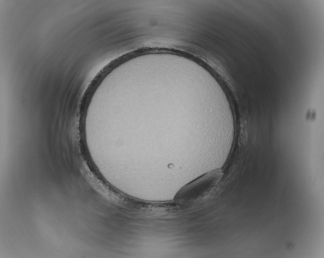 X0000112530976200909141243