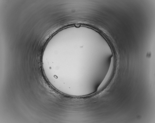 X0000112530977200909141242