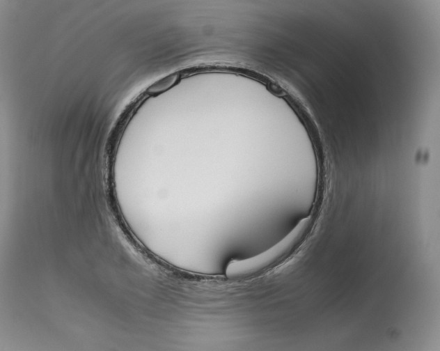 X0000112530981200909141242