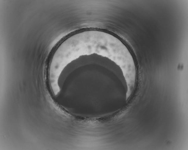 X0000112530983200909141242