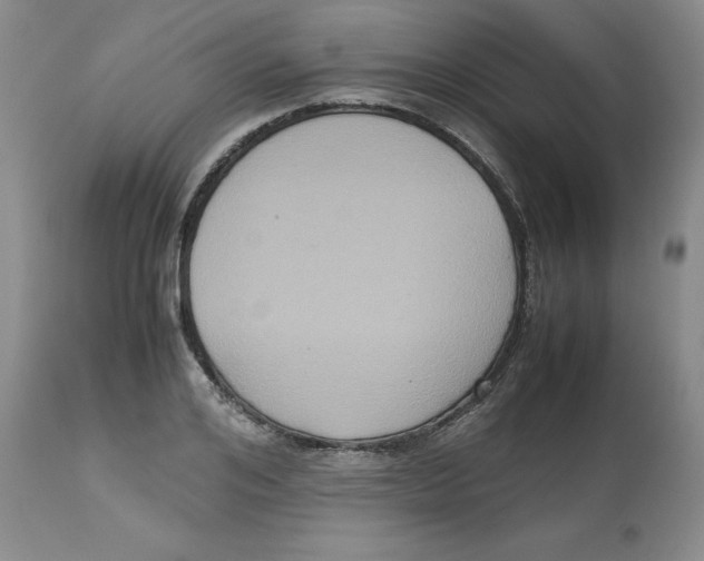 X0000112530984200909141242