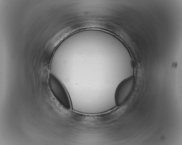 X0000112530985200909141242