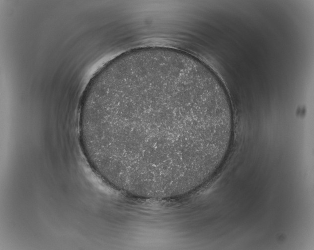 X0000112530987200909141242