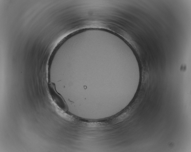 X0000112530988200909141242