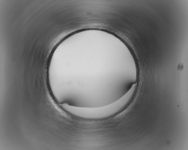 X0000112530989200909141242