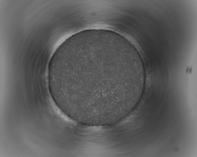 X0000112530990200909141242