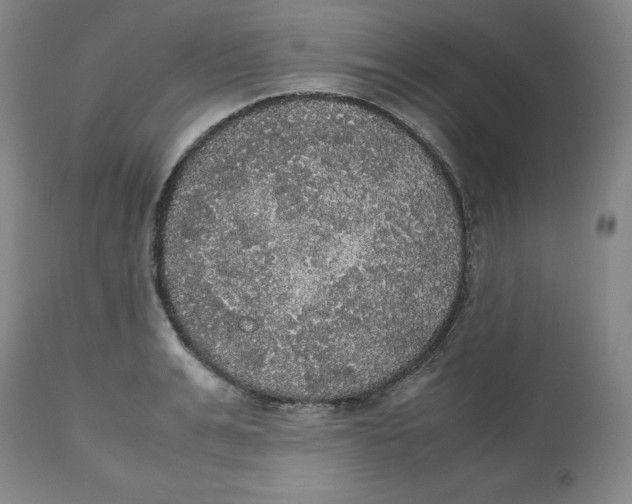 X0000112530991200909141242