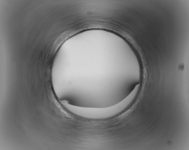 X0000112530993200909141242