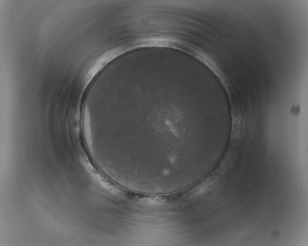 X0000112530994200909141242