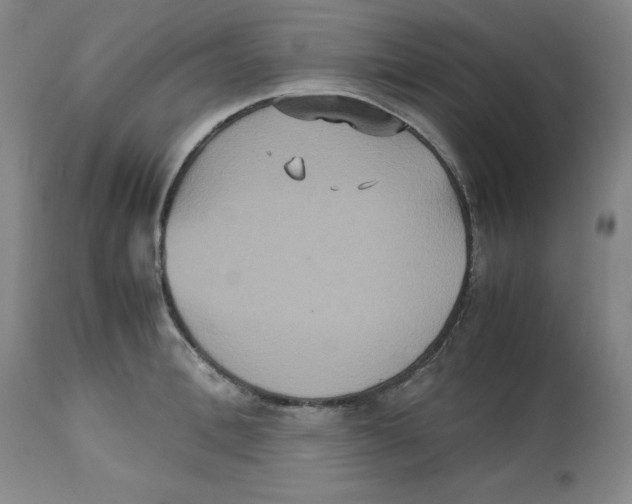 X0000112530996200909141242