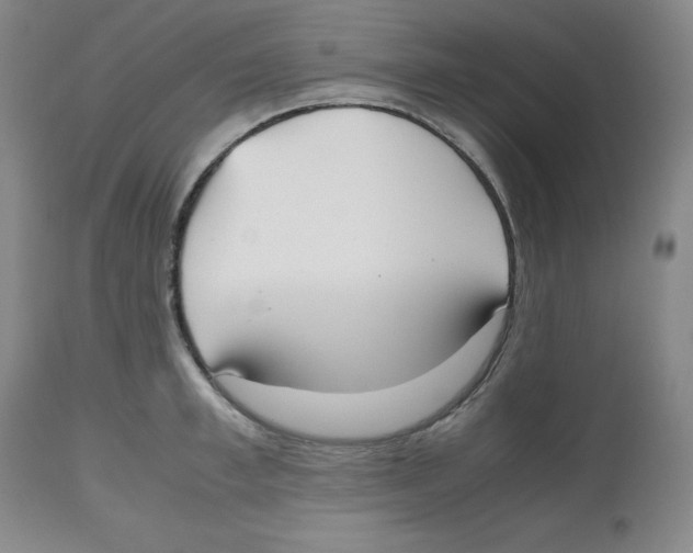 X0000112530997200909141242