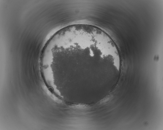 X0000112530998200909141242