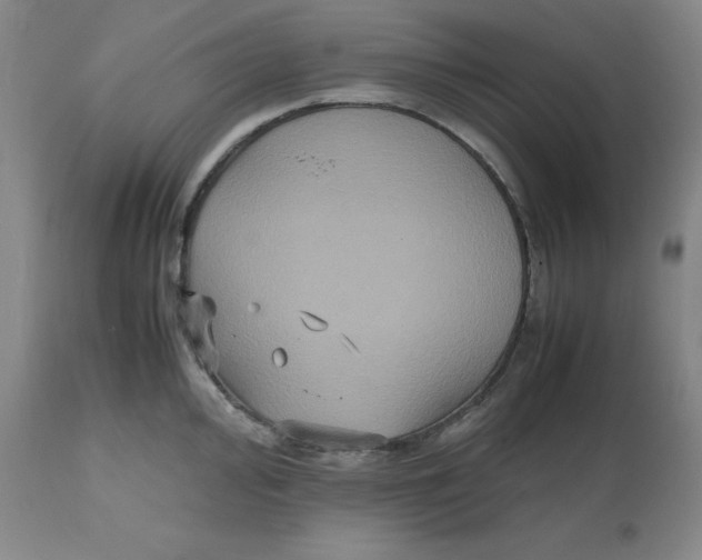 X0000112531000200909141242