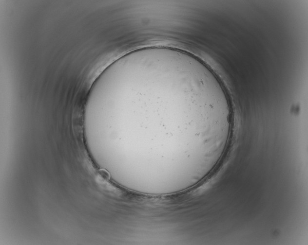 X0000112531001200909141242