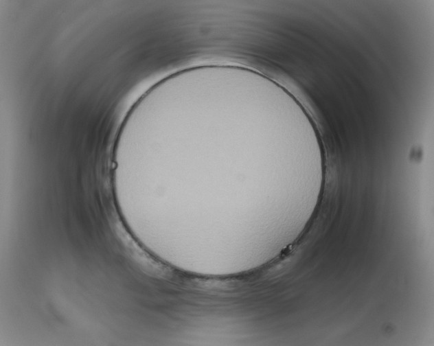 X0000112531004200909141242