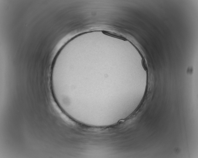 X0000112531005200909141242