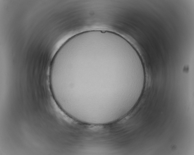 X0000112531006200909141242