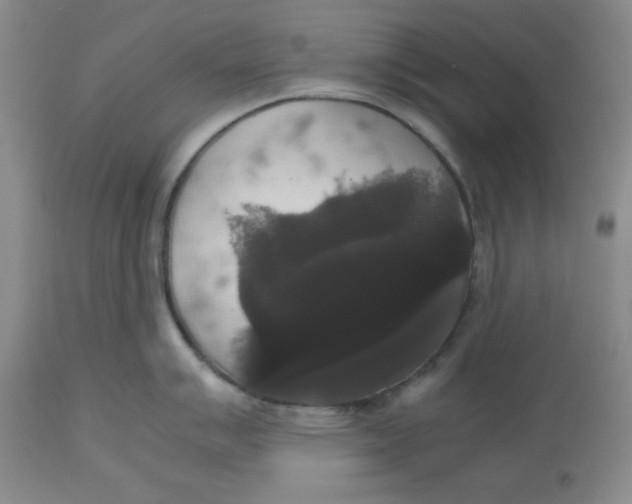 X0000112531007200909141242