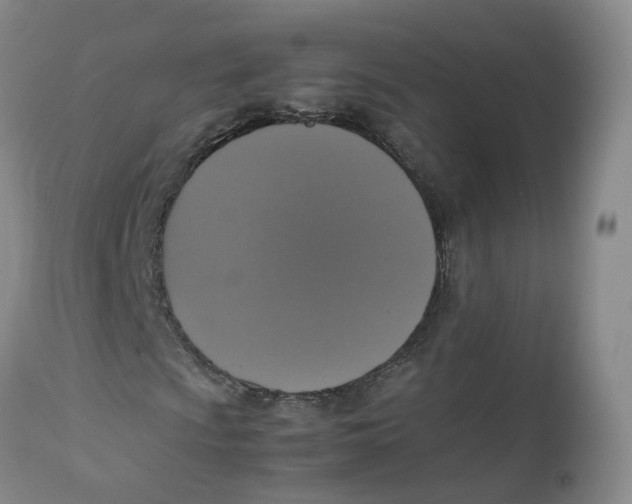 X0000112531009200909141241