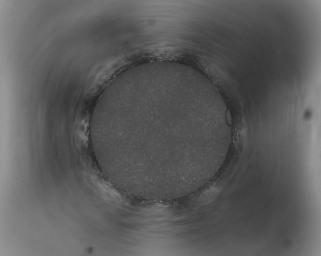 X0000112531010200909141241