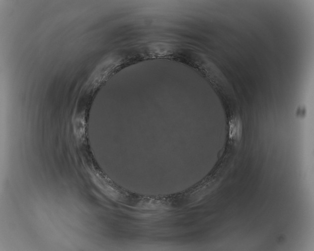 X0000112531011200909141241