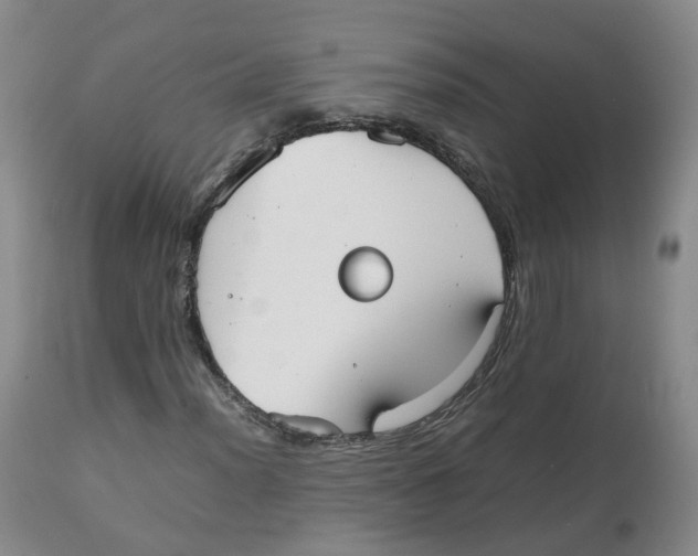 X0000112531012200909141241