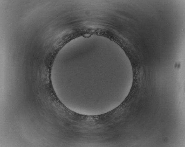 X0000112531013200909141241