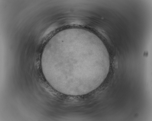 X0000112531015200909141241