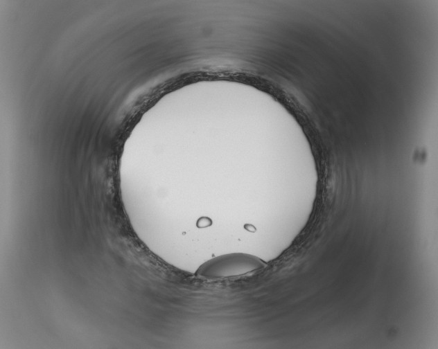 X0000112531016200909141241