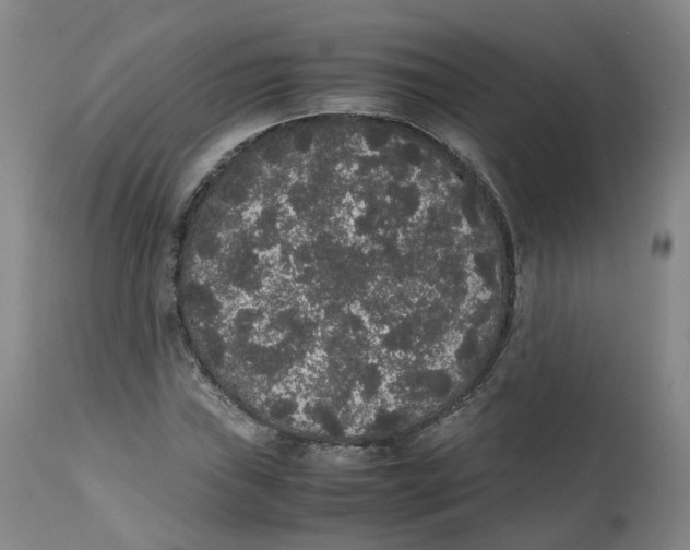 X0000112531019200909141241