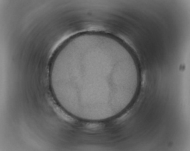 X0000112531021200909141241