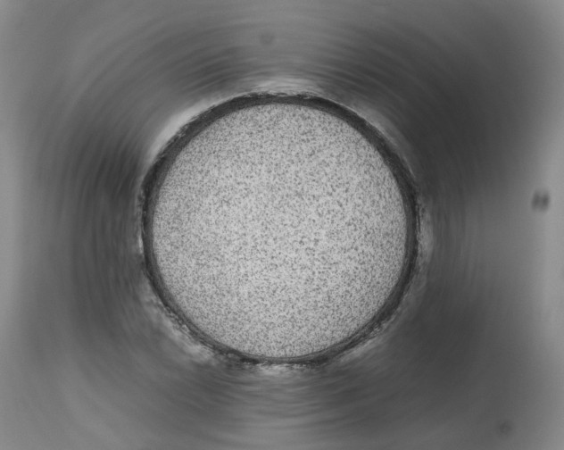 X0000112531022200909141241