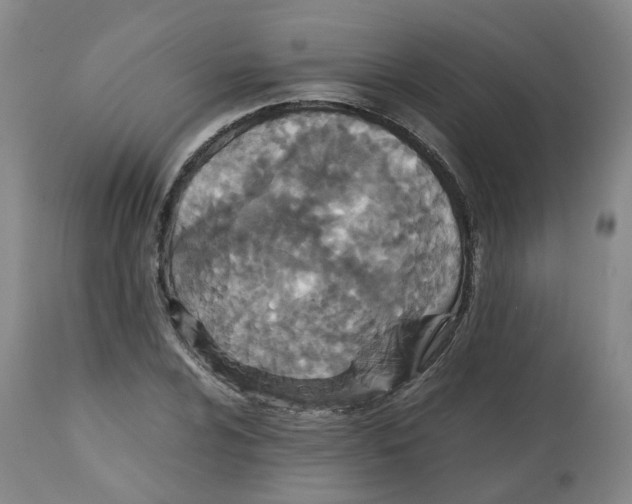 X0000112531024200909141242