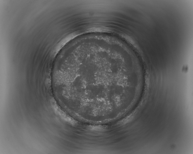 X0000112531025200909141242