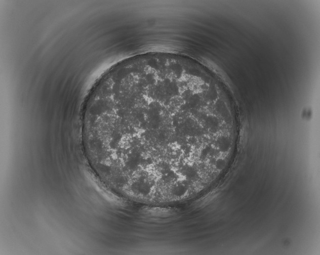 X0000112531027200909141242