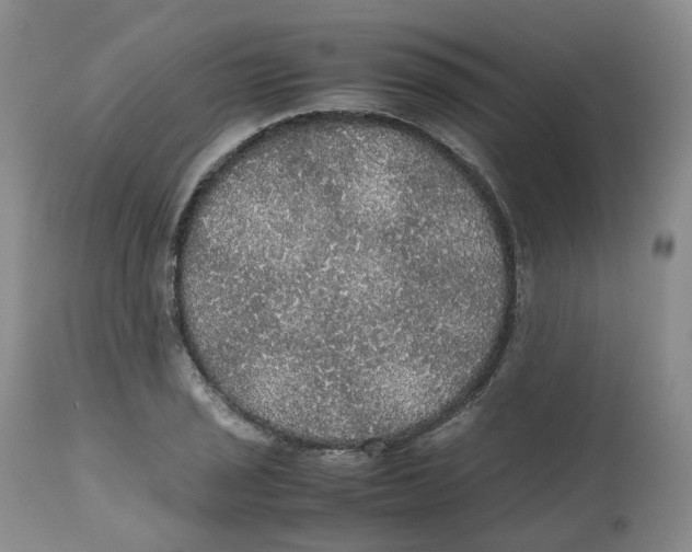 X0000112531029200909141242