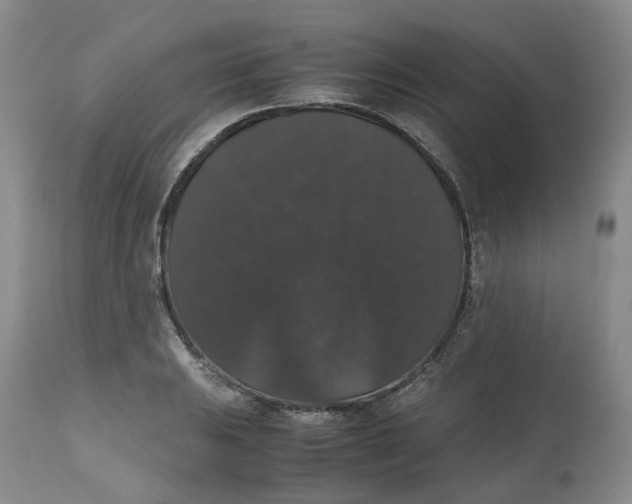 X0000112531031200909141242