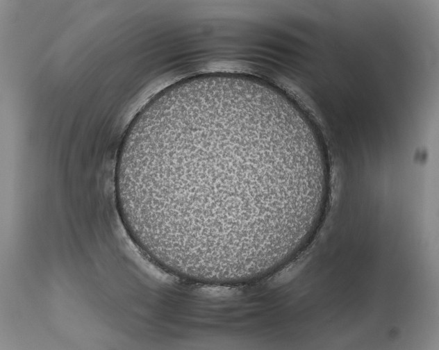 X0000112531033200909141242