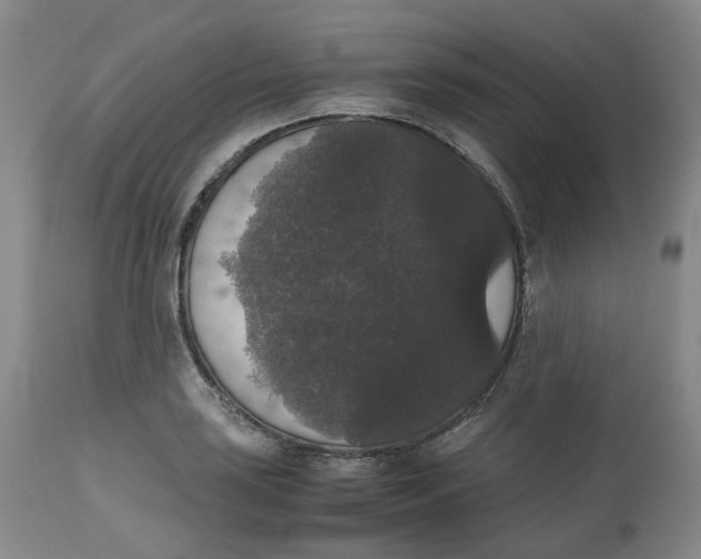 X0000112531035200909141242