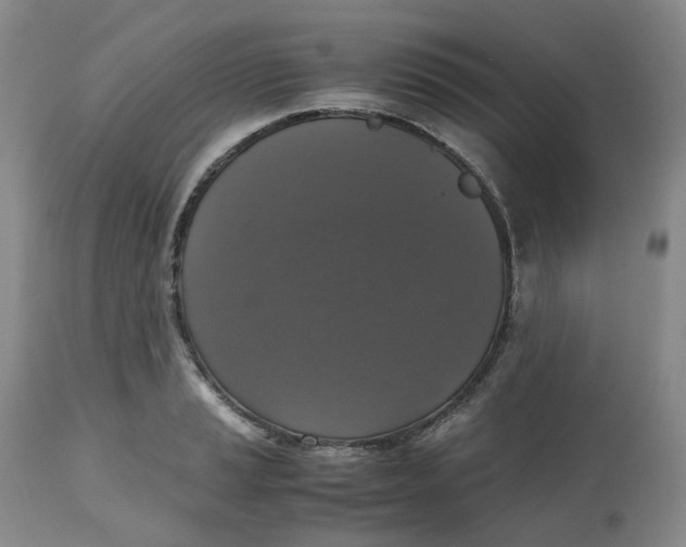 X0000112531037200909141242