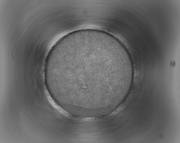 X0000112531038200909141242