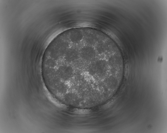 X0000112531039200909141242